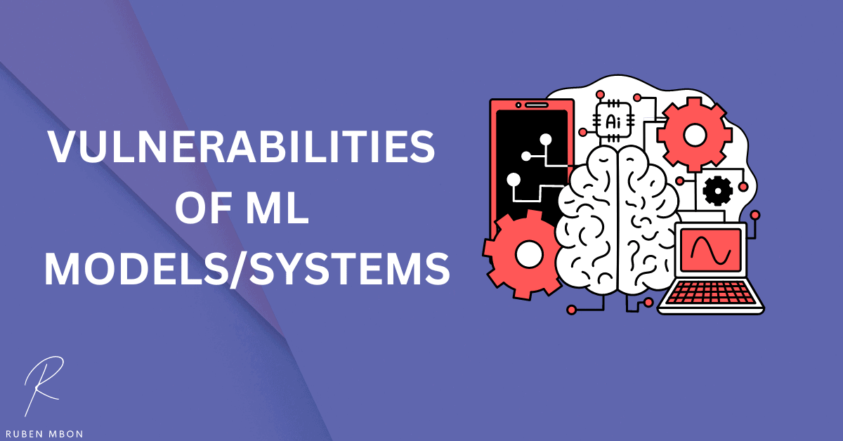 Vulnerabilities of ML Models and Systems