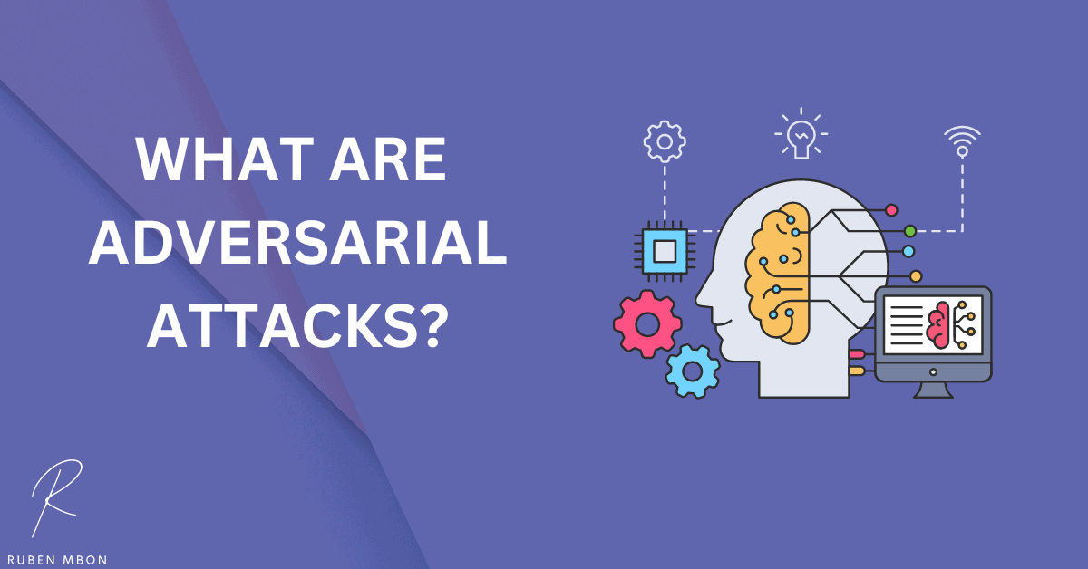 What are adversarial attacks
