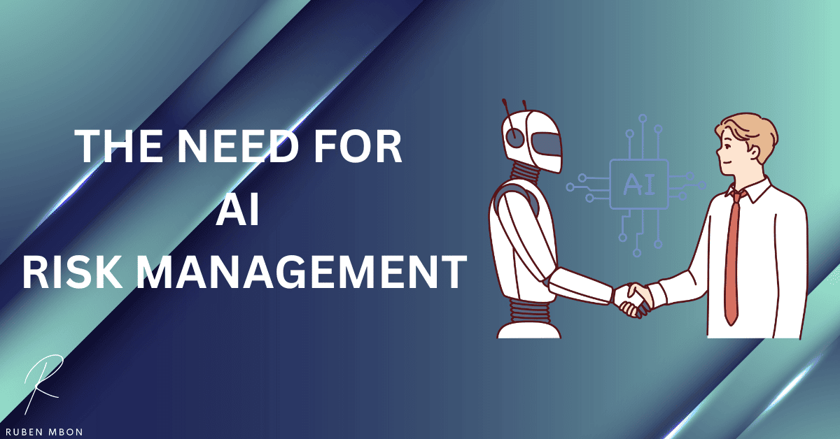 The Need for AI Risk Management